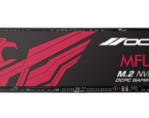 SSD NVME OCPC MFL-300 256GB (ĐỌC 3100MB/S GHI 1800MB/S) M.2 2280 GEN 3X4