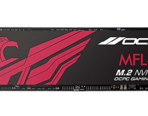 Alternative view of SSD NVME OCPC MFL-300 256GB (ĐỌC 3100MB/S GHI 1800MB/S) M.2 2280 GEN 3X4